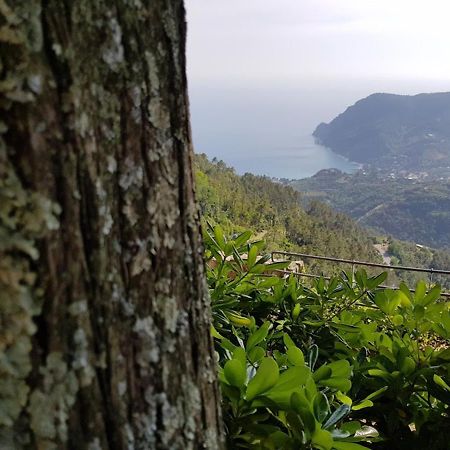 Santuario Ns Soviore Cinque Terre Monterosso al Mare Ngoại thất bức ảnh
